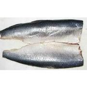 Herring Whole Salted 