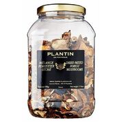 Plantin Dried Mixed Forest Mushrooms 500g