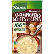 Knorr Soup Champignon & Boletus 1L / Douceur de Champignons Bolets et Cepes