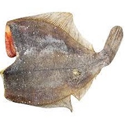 Yummy European Flounder Head Off Dried Each