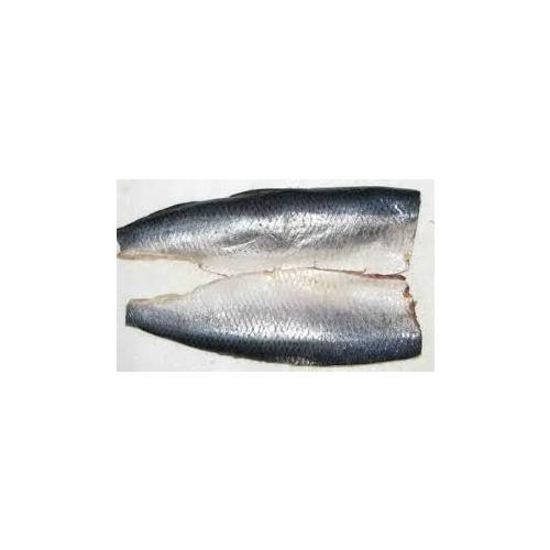 Herring Whole Salted